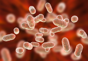 Microbiome Rebalancing