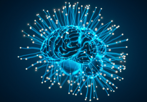 Cognitive and Memory Support