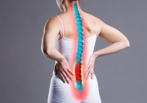 Circulation and Mobility Support