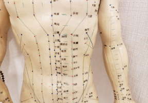 Supporting Temperature Regulation