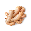 Ginger Root Extract